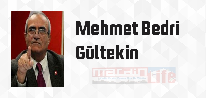 Mehmet Bedri Gültekin kimdir? Mehmet Bedri Gültekin kitapları ve sözleri