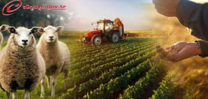 Çiftçi Kayıt Sistemi (ÇKS) başvurularında son tarih 31 Aralık