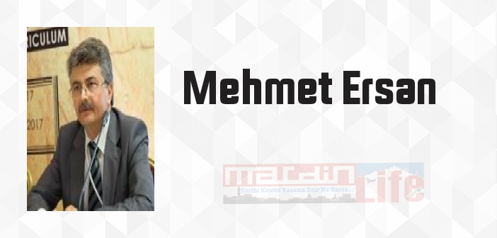 Türklerin Kayıp Yüzyılı Beylikler Devri - Mehmet Ersan Kitap özeti, konusu ve incelemesi