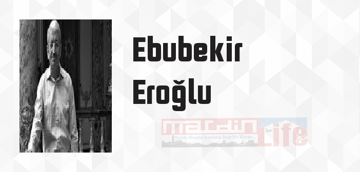 Modern Türk Şiirinin Doğası - Ebubekir Eroğlu Kitap özeti, konusu ve incelemesi