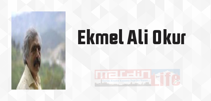 Beni Yüreğinle Dinle - Ekmel Ali Okur Kitap özeti, konusu ve incelemesi