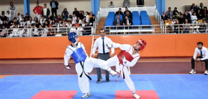 Nusaybinli Taekwondocular İl Şampiyonasında 42 birincilik aldı