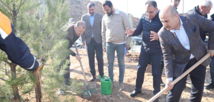 Hop Geçidi Estetik Bir Görünümle Yeşilleniyor