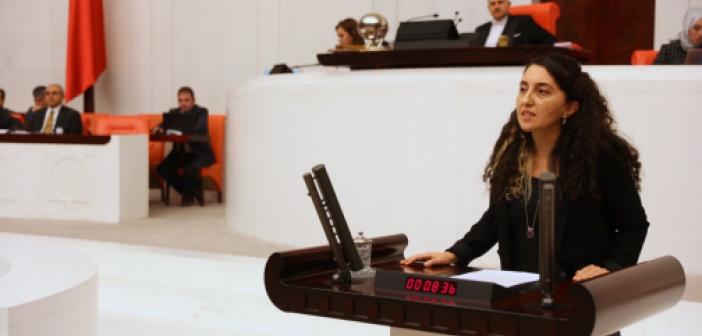 HDP'li Günay, Kadına Şiddet olayları için araştırma önergesi istedi