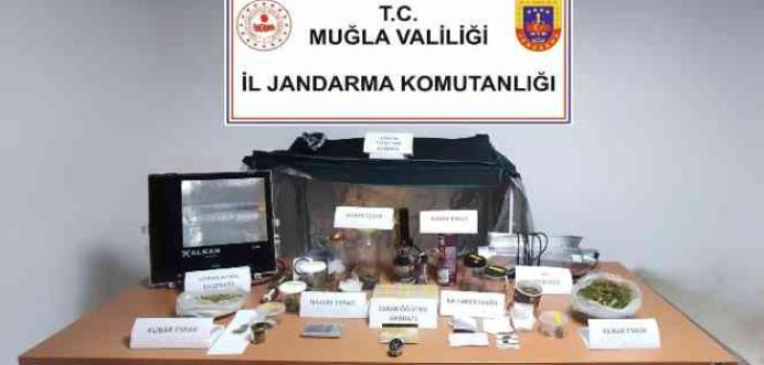 Bodrum’da Jandarmadan uyuşturucu operasyonu