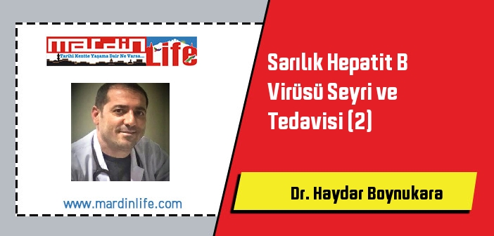 Sarılık Hepatit B Virüsü Seyri ve Tedavisi (2)