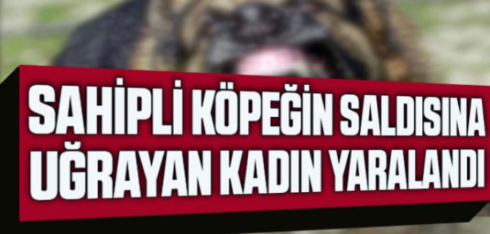 Sahipli Köpeğin saldırısına uğrayan kadın yaralandı