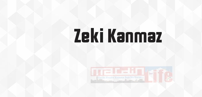 Cesaret Veren Başarı Öyküleri - Zeki Kanmaz Kitap özeti, konusu ve incelemesi