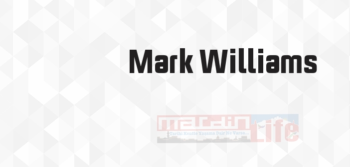 İyi Hissetme Sanatı - Mark Williams Kitap özeti, konusu ve incelemesi