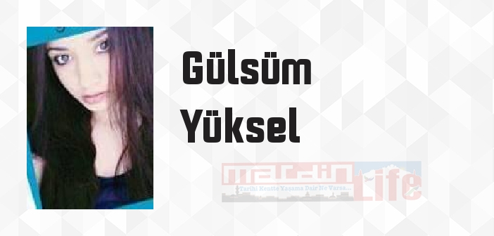Çıkmaz Sokak - Gülsüm Yüksel Kitap özeti, konusu ve incelemesi