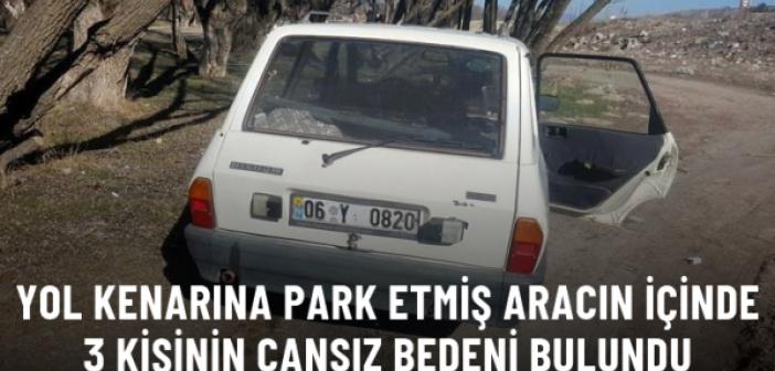 Yol kenarına park etmiş aracın içinde 3 kişinin cansız bedeni bulundu