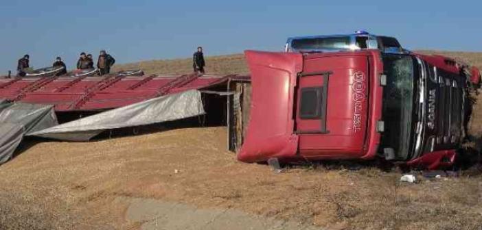 Tır devrildi, tonlarca buğday etrafa saçıldı: 1 yaralı