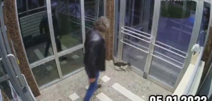 Binaya kapattığı kediyi tekmeleyerek dövdü