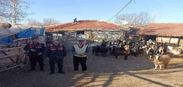 Burdur’da kaybolan 70 küçükbaş hayvan, jandarma ekipleri tarafından bulundu