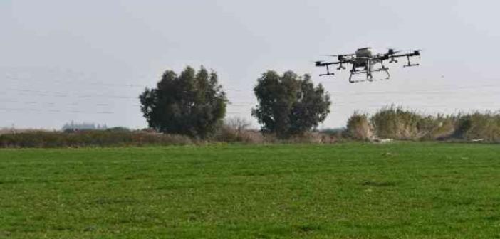 Söke Belediyesinin buğday arazisi dron ile gübrelendi