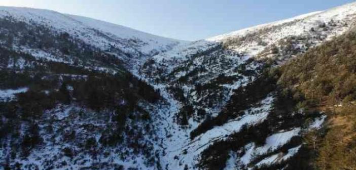 Zigana’da yaşanan çığ felaketinin 14. yılında Zigana Dağı karsız kaldı