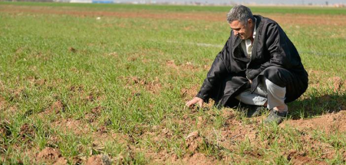 Yağışlar Mardinli çiftçileri umutlandırdı