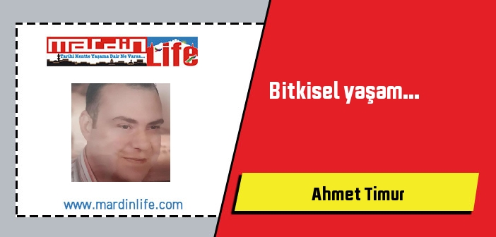 Bitkisel yaşam...