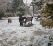 Kızıltepe'de kar sevinci