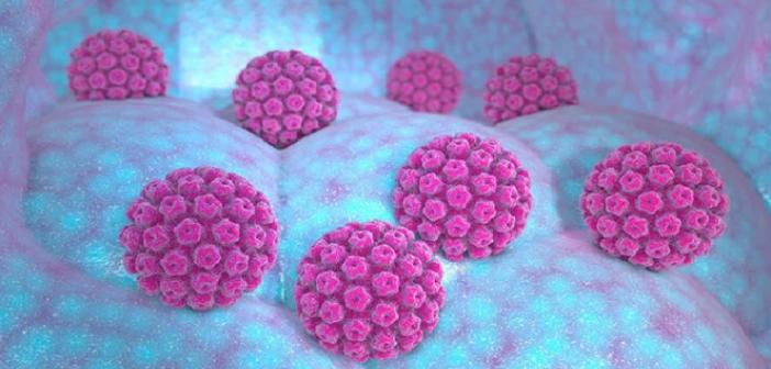 HPV Tedavisinde AHCC Kullanımı
