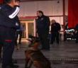 İtfaiye erinin eğittiği arama kurtarma köpekleri 18 kişinin hayatına dokundu