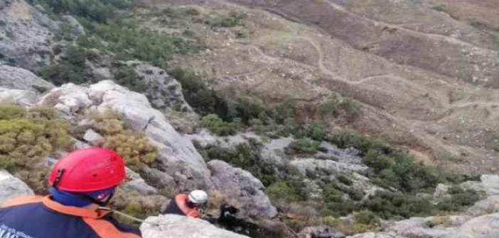 Kayalıklarda mahsur kalan keçiyi MAG-AME ekibi kurtardı