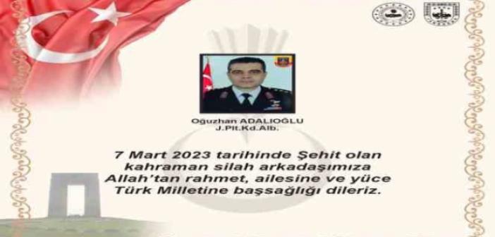 Jandarma Pilot Kıdemli Albay Adalıoğlu pervane çarpması sonucu şehit oldu