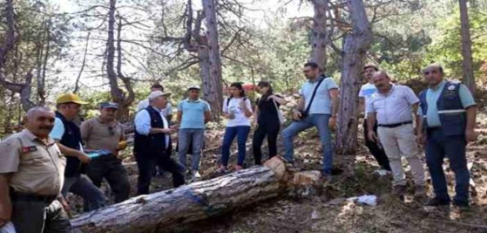 Oduncu babanın 3 çocuğu ve damadı ‘orman mühendisi’