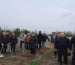 Depremde hayatını kaybedenler için fidan diktiler