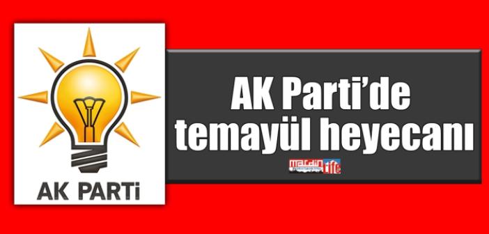 AK Parti’de gözler temayül yoklamasında