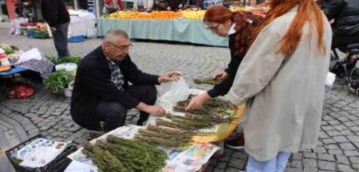 Aydın’ın acı otu, fiyatıyla da görenlerin yüzünü buruşturuyor