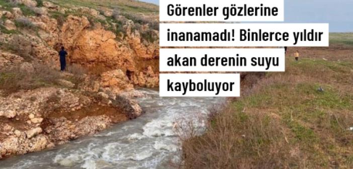 Görenler gözlerine inanamadı! Kızıltepe sınırındaki derenin suyu kayaların arasında kayboluyor