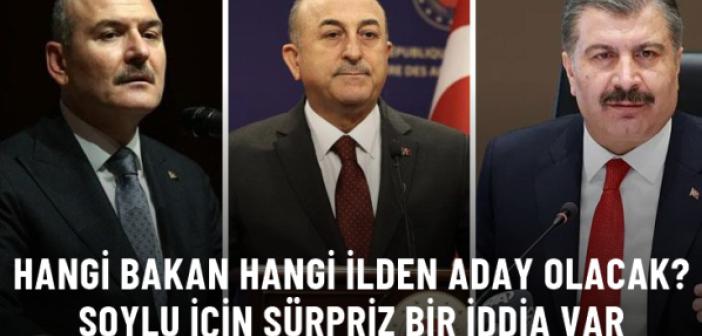 Kabinedeki hangi bakan hangi ilden aday olacak? Mardin için kimin ismi geçiyor?