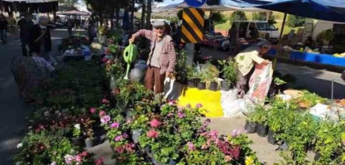 Aydın’da pazar tezgahları çiçeklerle renklendi