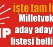 CHP Mardin milletvekili aday adayları listesi belli oldu; İşte tam liste!