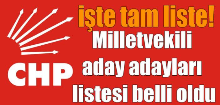 CHP Mardin milletvekili aday adayları listesi belli oldu