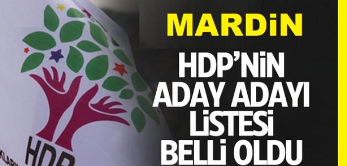Yeşil Sol Parti adı ile seçime girecek HDP Mardin milletvekili aday adayı listesi…