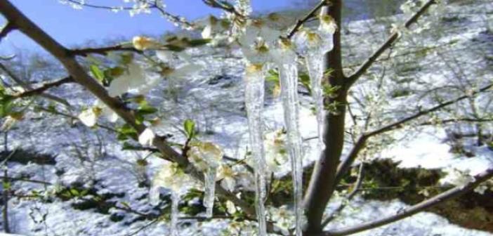 Muğla’da hava soğuyor, yağış geliyor