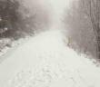 Yalova’da yüksek kesimler kar yağışıyla beyaza büründü