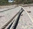 Rüzgarda devrilen asırlık ağaç yolu ulaşıma kapattı