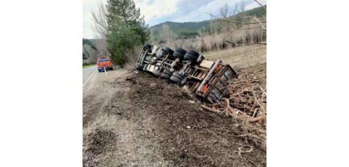 Virajı alamayan odun yüklü kamyon devrildi: 1 yaralı