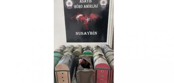 Nusaybin'de horoz dövüşçülerine operasyon 
