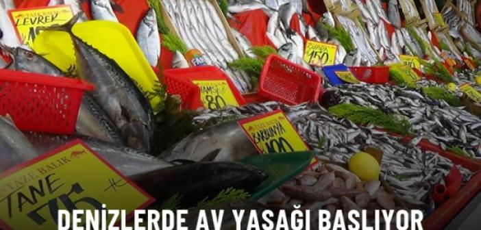 Denizlerde av yasağı 15 Nisan'da başlıyor