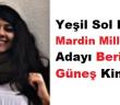 Yeşil Sol Partisi Mardin Milletvekili Beritan Güneş kimdir? Beritan Güneş Aslen Nerelidir?
