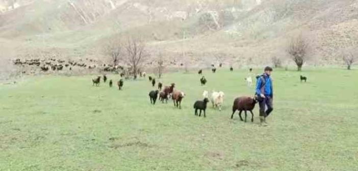 Besicilerin bayramda da mesaisi sürüyor