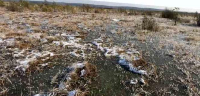 En yüksek metan kaynağı Sibirya’da donmuş halde bulunan turbalıklarda