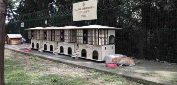 Yalova Belediyesinden Safranbolu konseptli kedi evleri