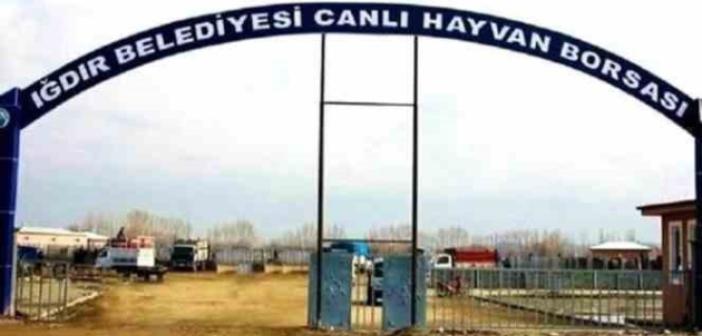 Iğdır Canlı Hayvan Borsası yarın açılıyor