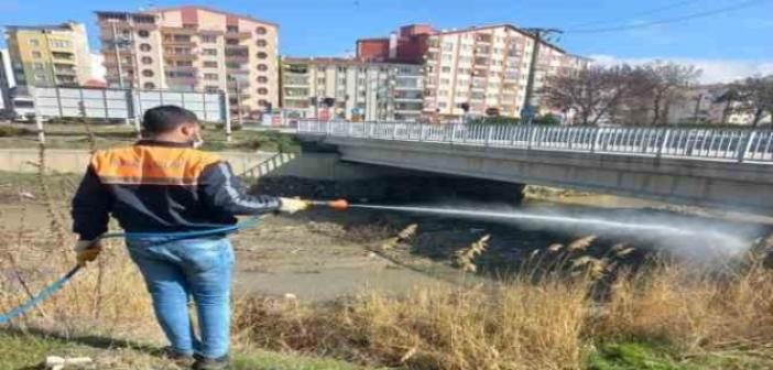 Sungurlu’da vektörel mücadele sürüyor