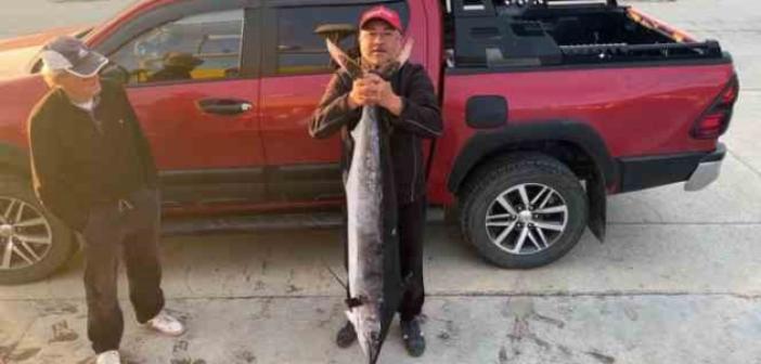 Gökçeada açıklarında 2 metre boyunda, 50 kiloluk Merlin balığı vurdu